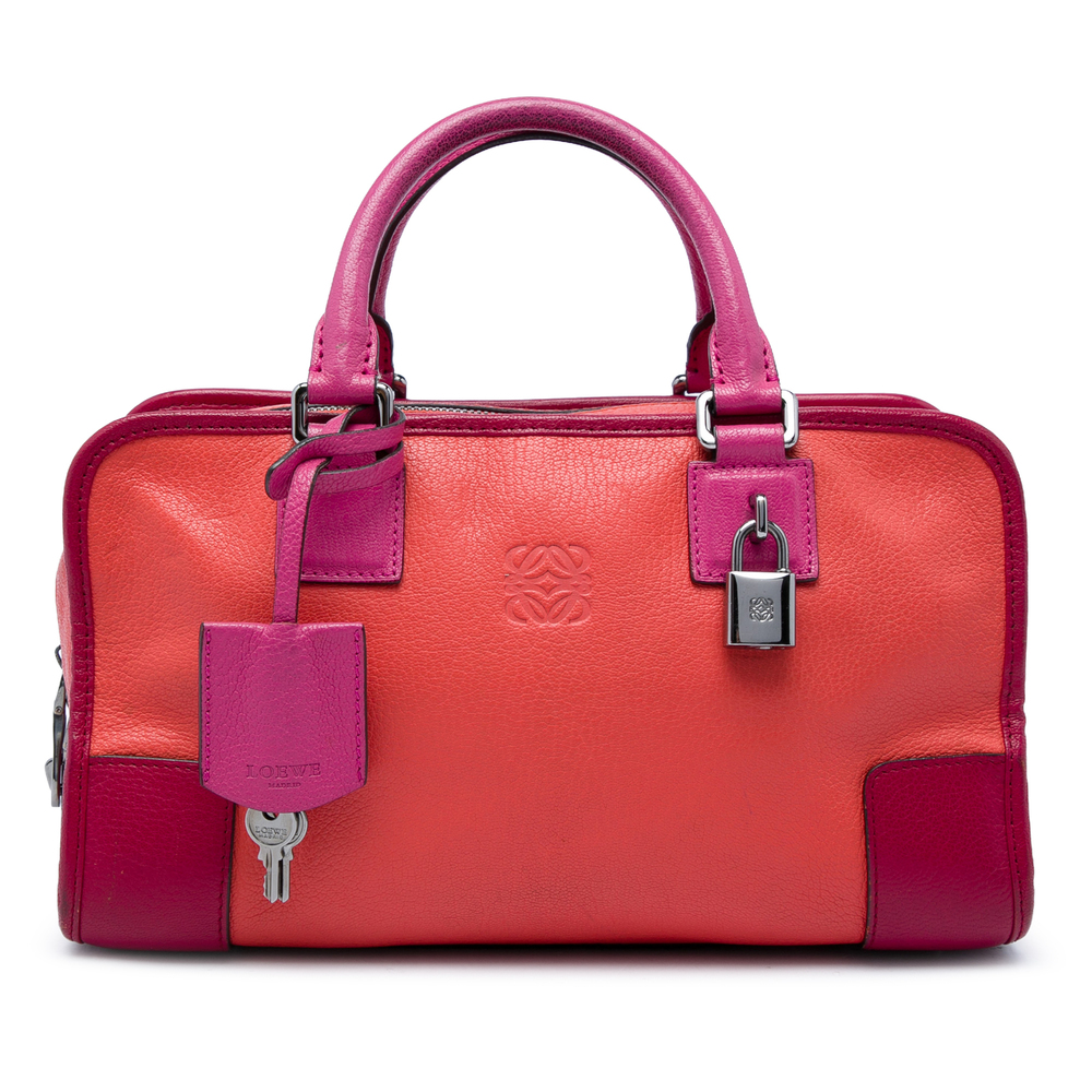 Pre-Loved LOEWE Tricolor Goatskin Amazona 28